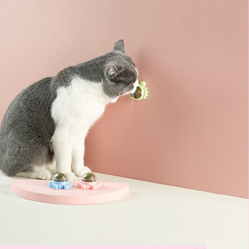 Catnip Wall Ball Edible Cat Toys