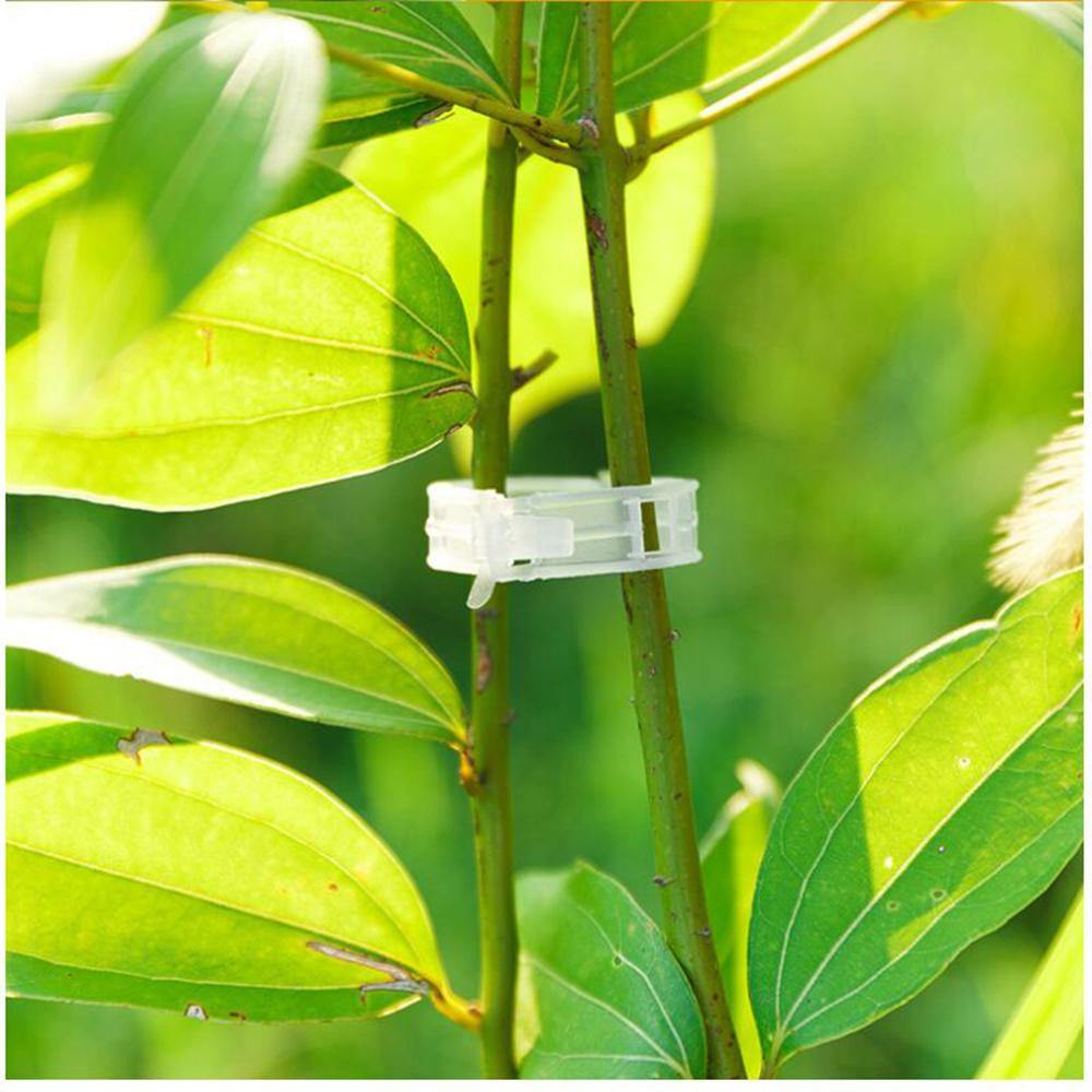 Plant Stalk Support Clip