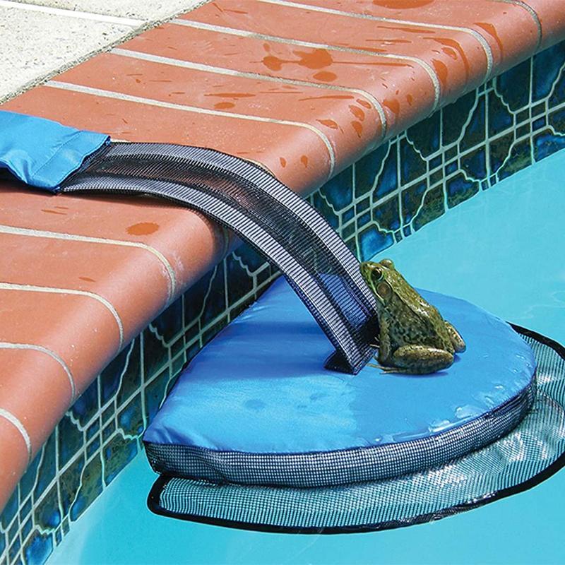 FrogLog Animal Saving Escape Ramp for Pool