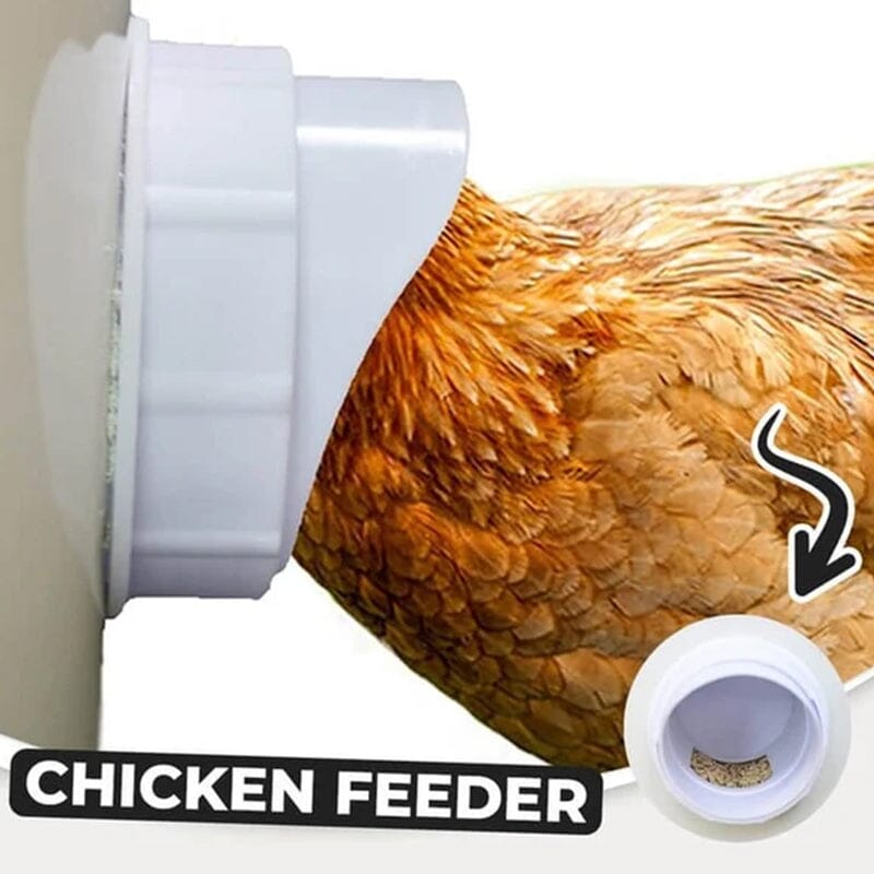 Feeding Kit Special Tools For Breeding Chickens Ducks Poultry Accessories