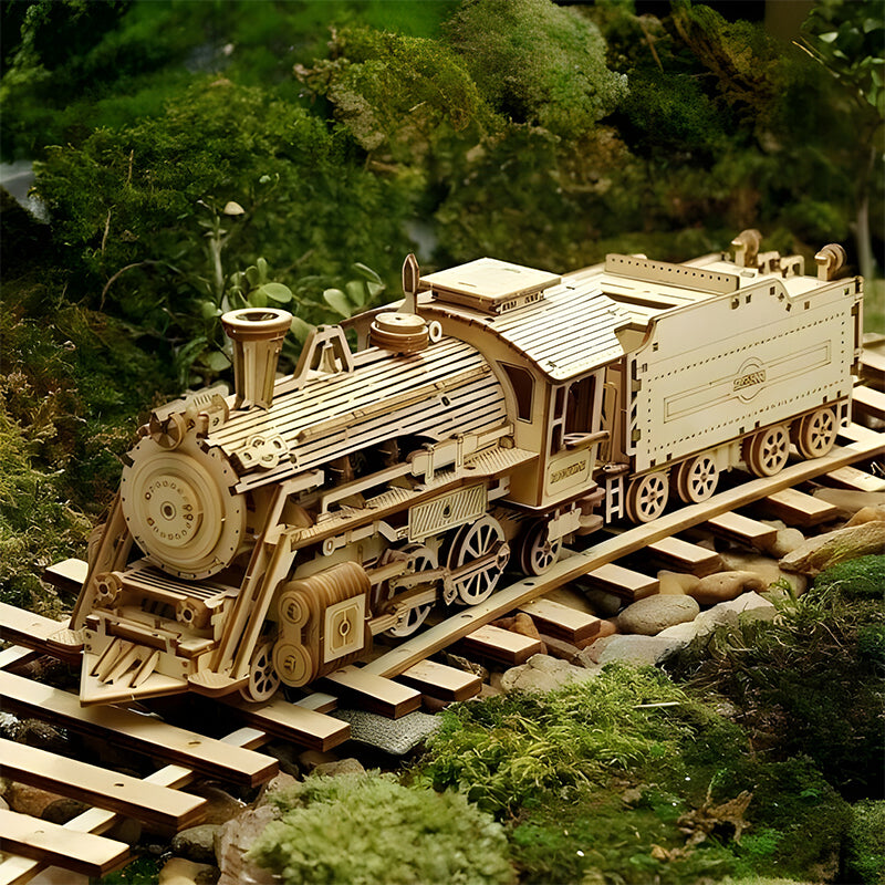 Super Wooden Mechanical Model Puzzle Set1