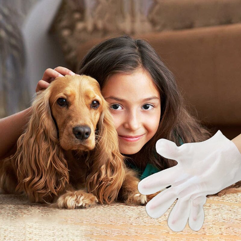 Pet Clean Wash Free Gloves