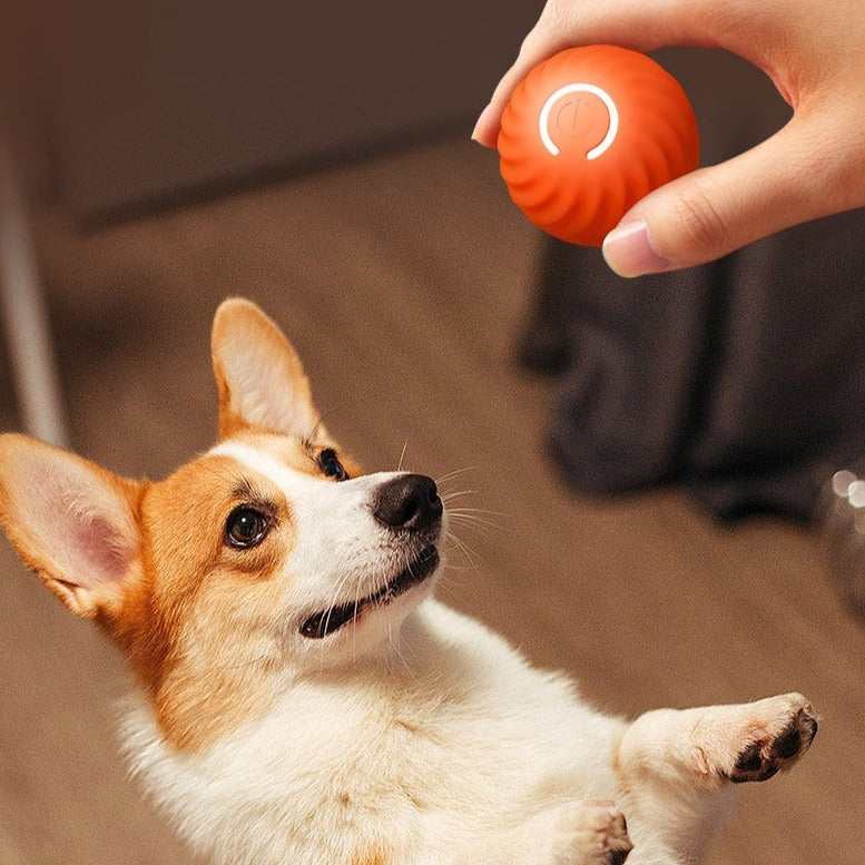Smart Rolling Dog Ball