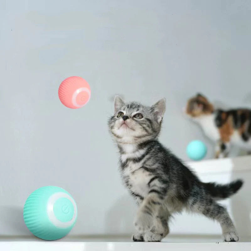 Interaktives Ballspielzeug für intelligente Katzen