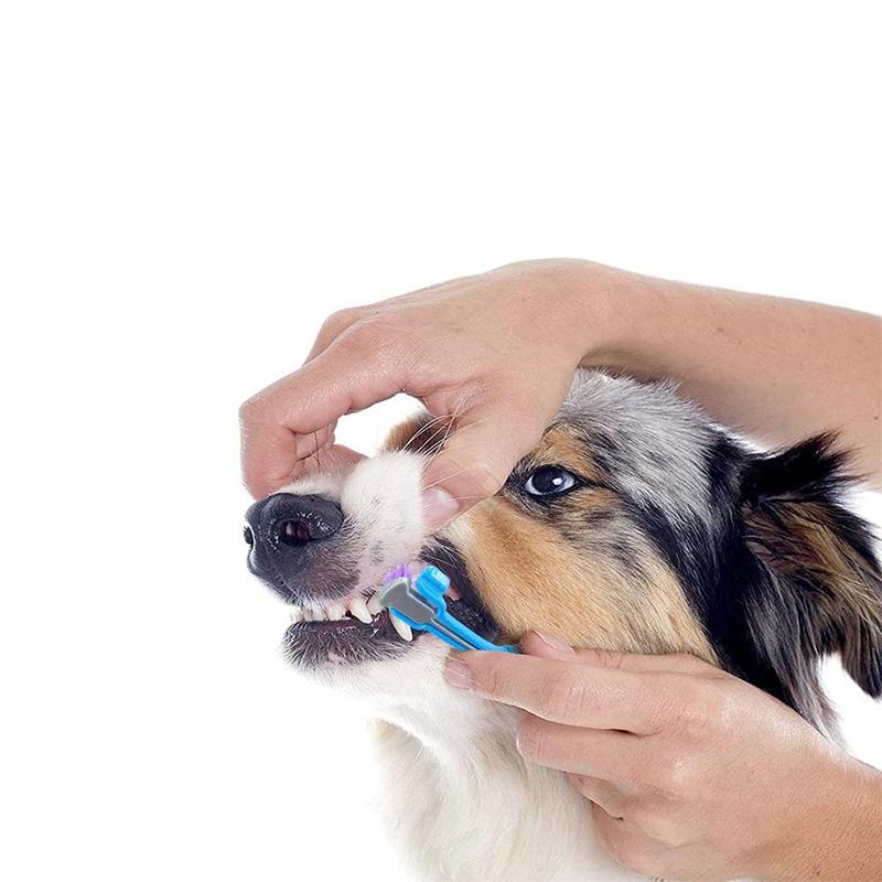 Dreiseitige Zahnbürste für Haustiere